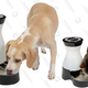 PetSafe Healthy Pet Water Station (64oz) | $18 | Amazon
PetSafe Healthy Pet Water Station (128oz) | $22 | Amazon